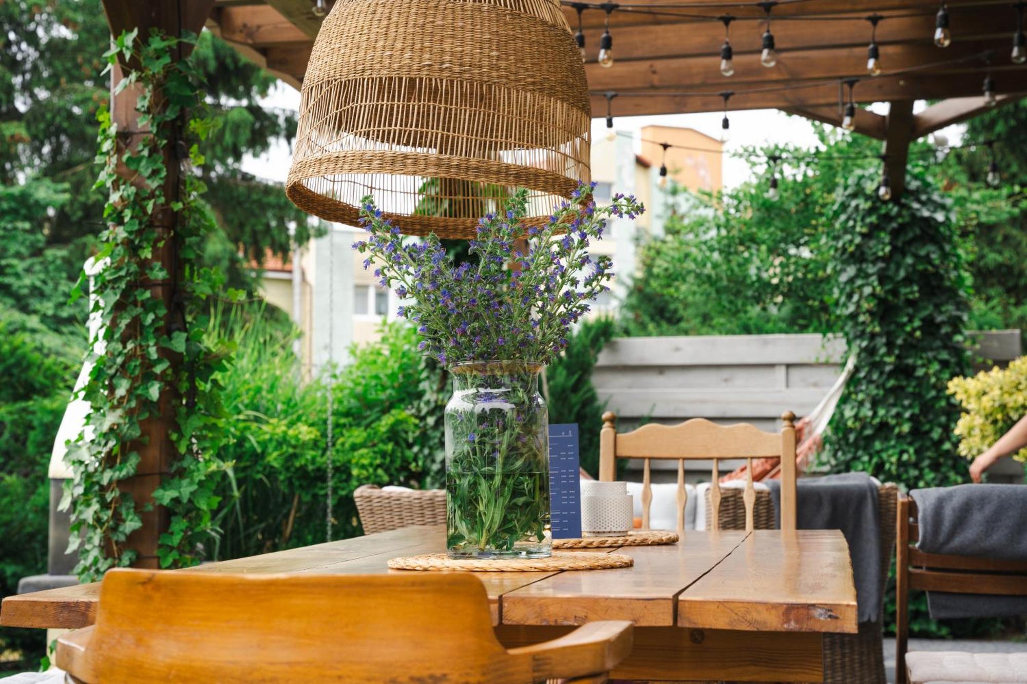 Homestay Busola House Stegna (Pomerania)